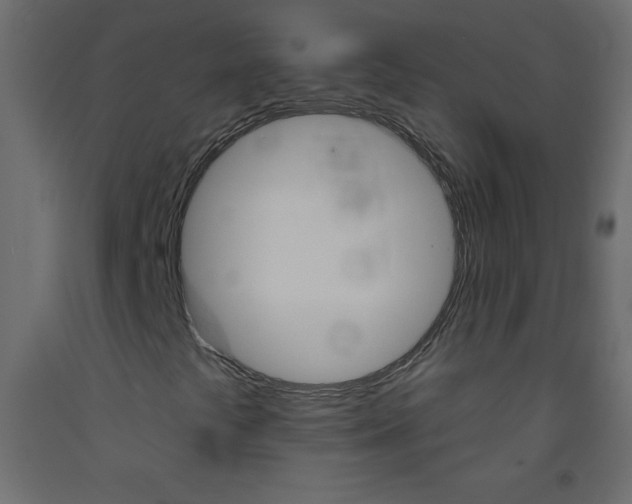 X0000093521441200710121118