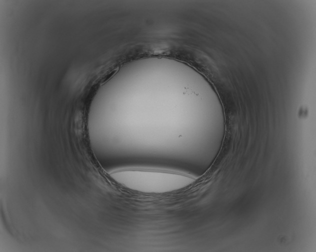 X0000093521442200710121118