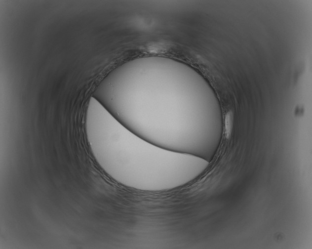 X0000093521443200710121118
