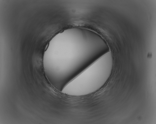 X0000093521444200710121118