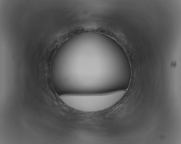 X0000093521445200710121118