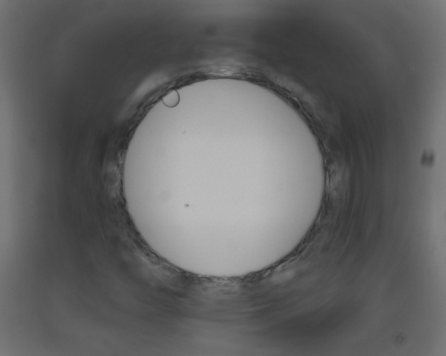 X0000093521446200710121118