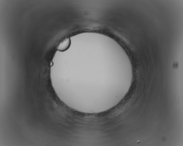 X0000093521447200710121118