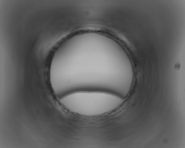 X0000093521448200710121118