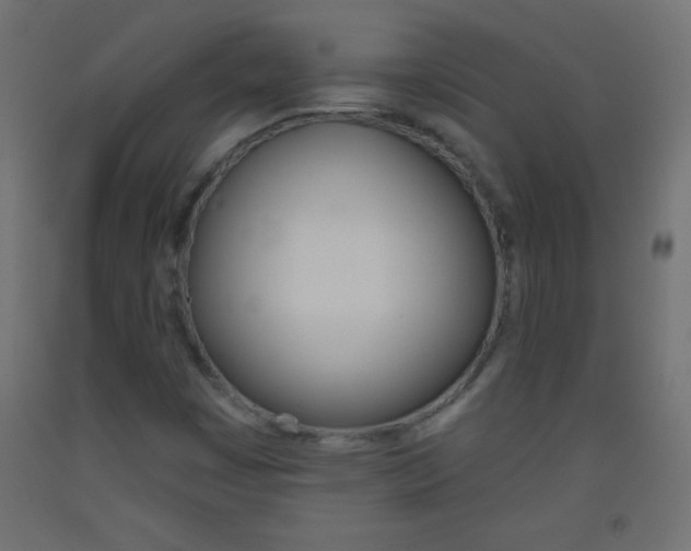 X0000093521449200710121118