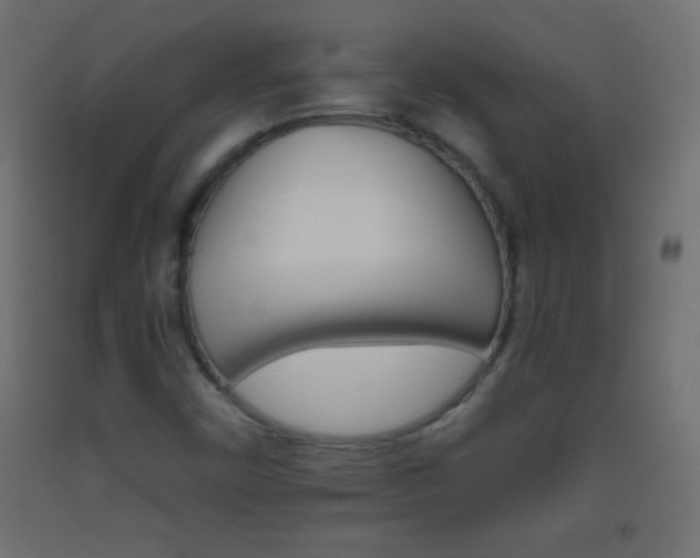X0000093521450200710121118