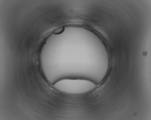 X0000093521451200710121118