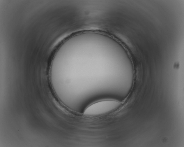 X0000093521452200710121118