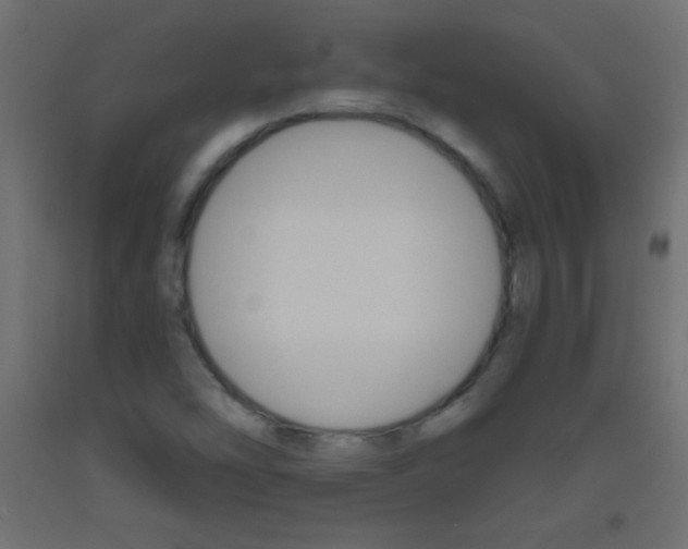X0000093521454200710121118