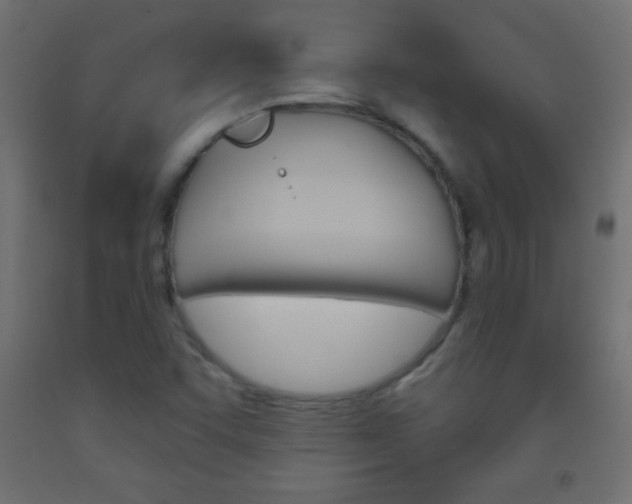 X0000093521455200710121118