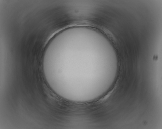 X0000093521457200710121118