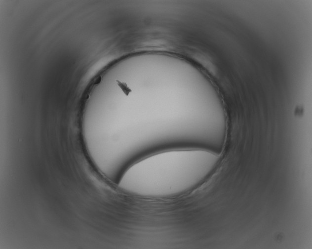 X0000093521458200710121118