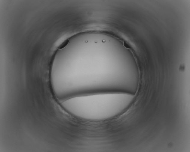 X0000093521459200710121118