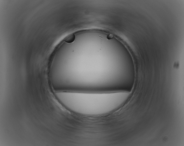 X0000093521460200710121118