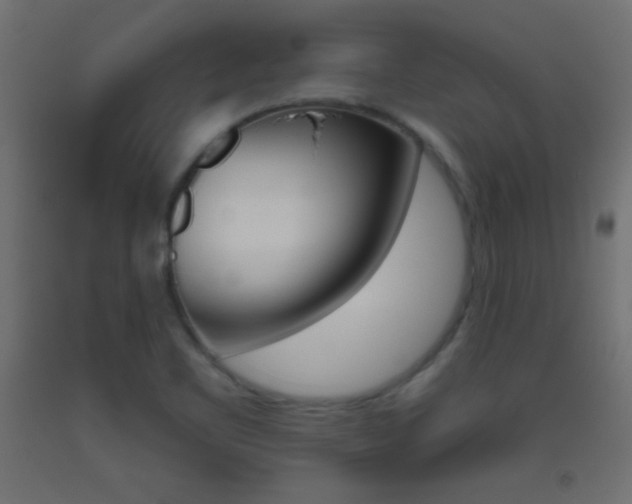 X0000093521461200710121118