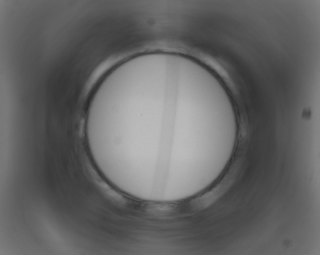 X0000093521462200710121118