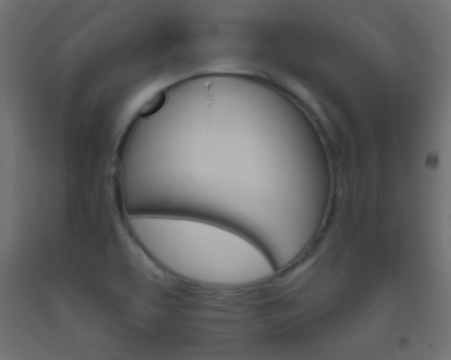 X0000093521463200710121118