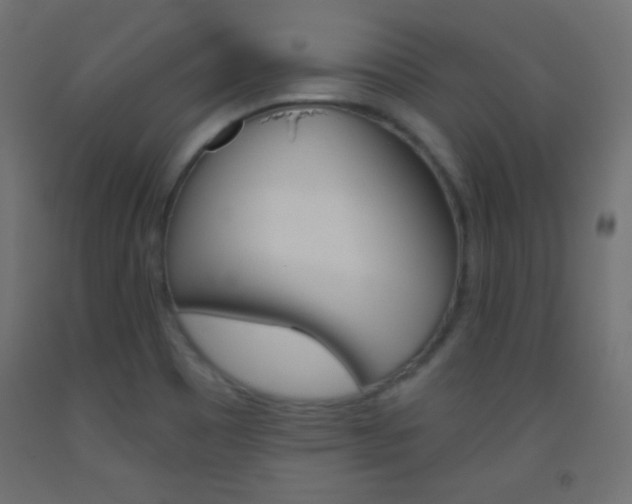 X0000093521465200710121118