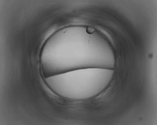 X0000093521467200710121118