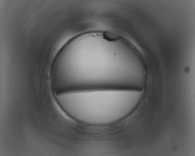 X0000093521468200710121118