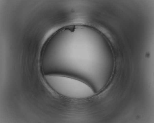 X0000093521469200710121117