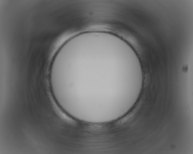 X0000093521470200710121117