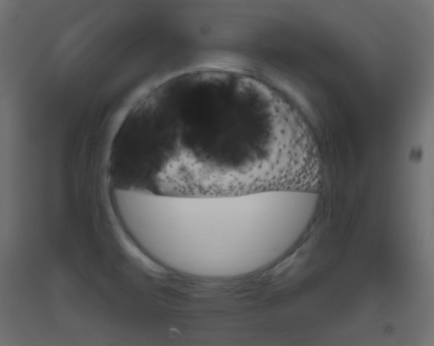 X0000093521471200710121117