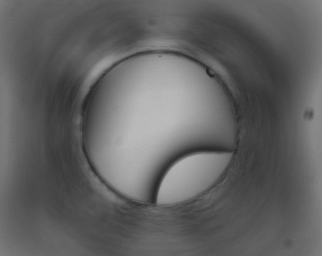 X0000093521472200710121117