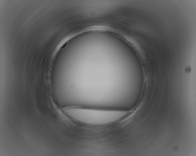 X0000093521473200710121117