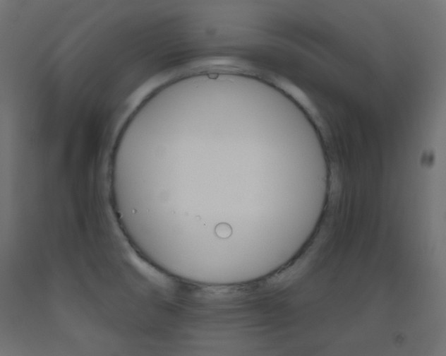 X0000093521474200710121117
