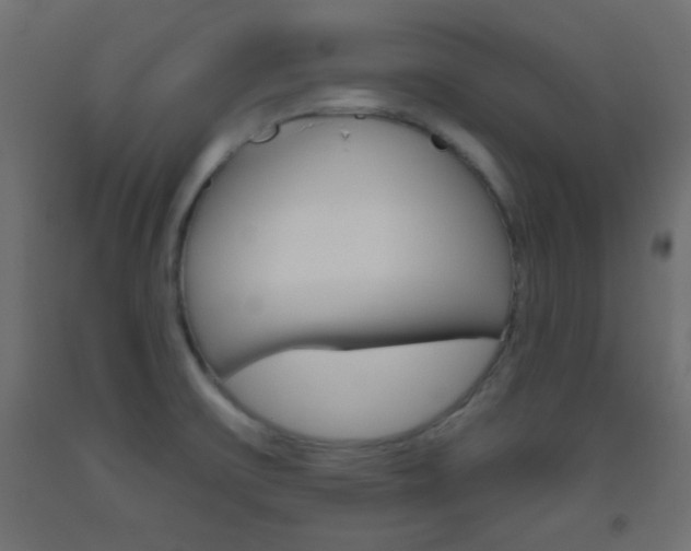 X0000093521475200710121117