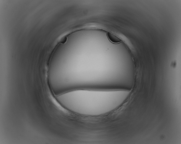 X0000093521476200710121117