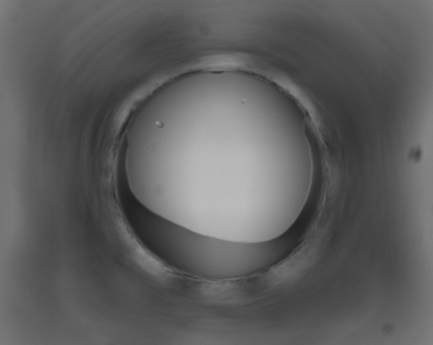 X0000093521477200710121117
