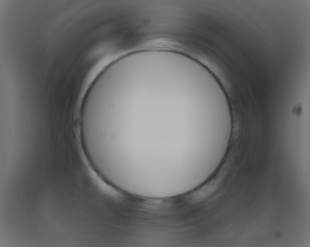 X0000093521478200710121117