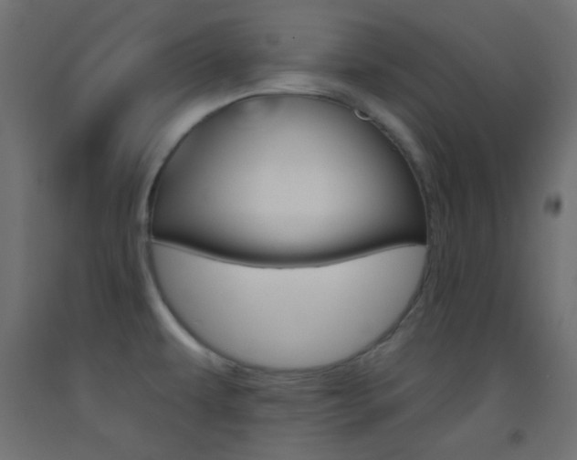 X0000093521479200710121117