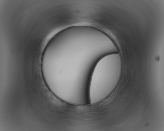 X0000093521480200710121117