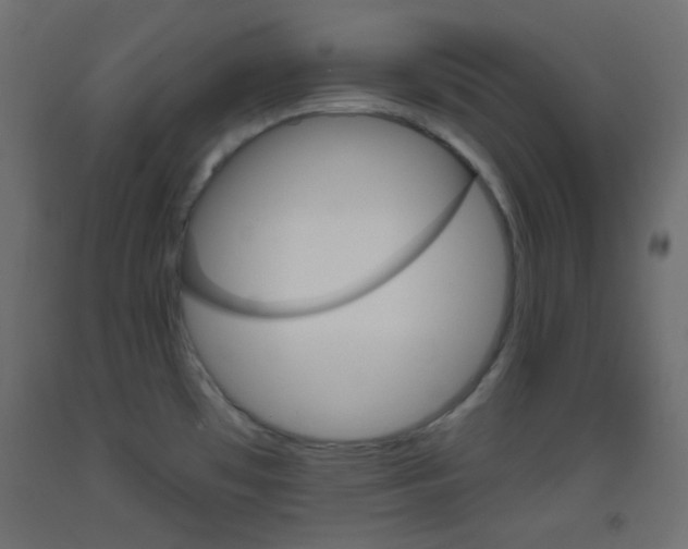 X0000093521481200710121117