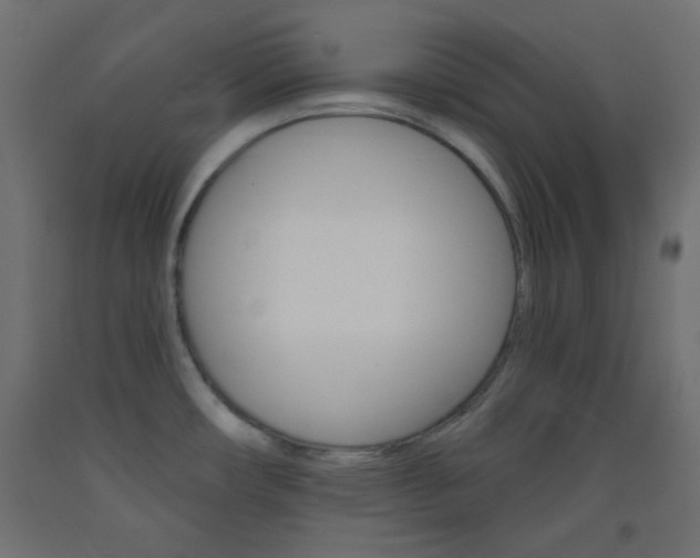 X0000093521482200710121117