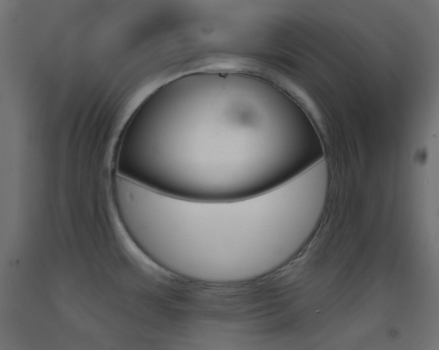 X0000093521483200710121117