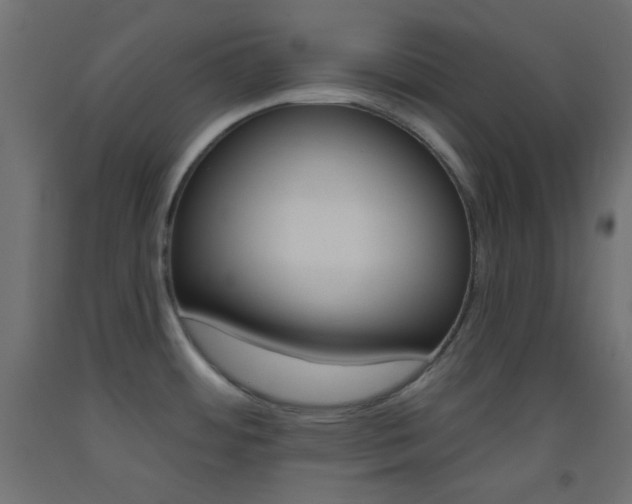 X0000093521484200710121117