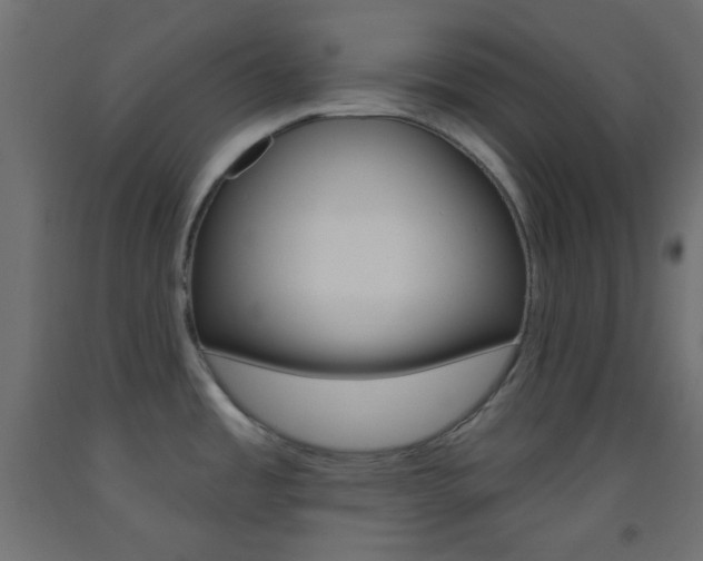 X0000093521485200710121117
