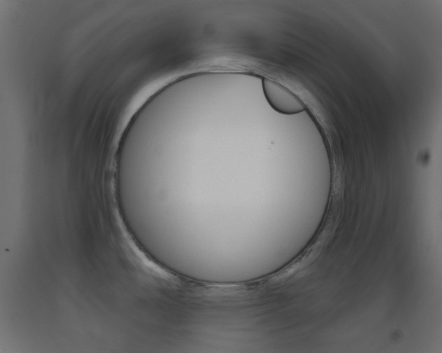 X0000093521486200710121117