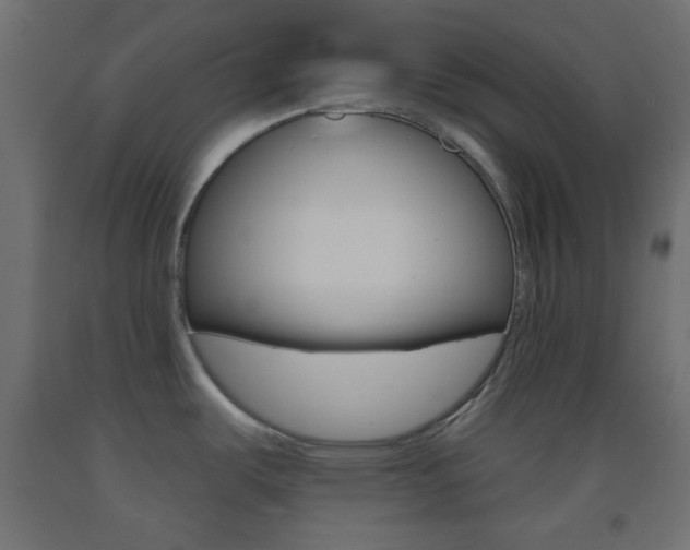 X0000093521487200710121117
