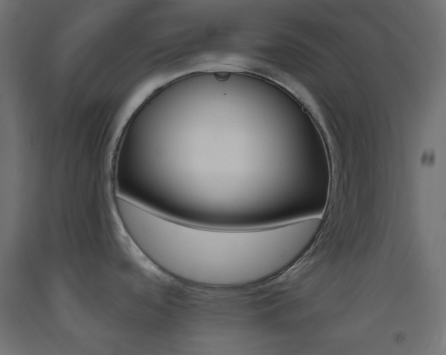X0000093521488200710121117