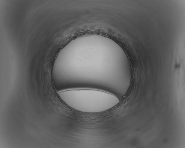 X0000093521489200710121117