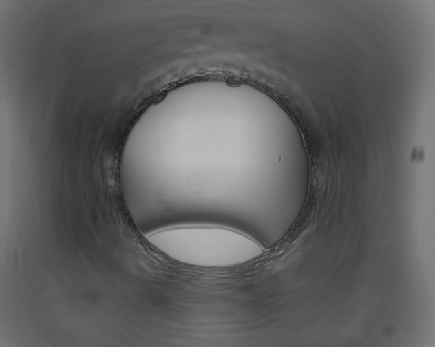X0000093521490200710121117