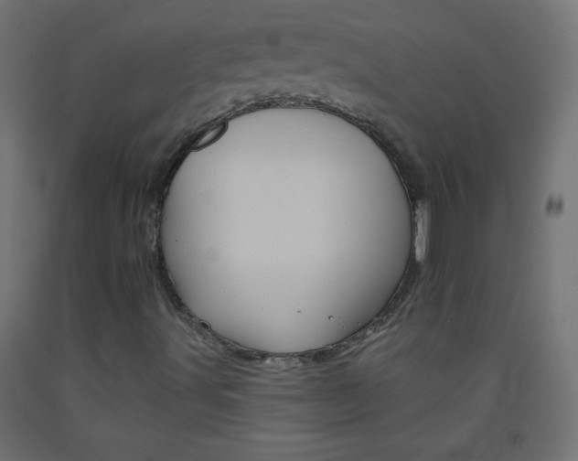 X0000093521491200710121117