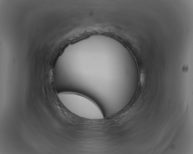 X0000093521492200710121117