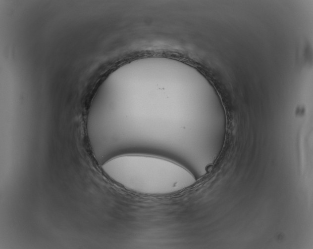 X0000093521493200710121117
