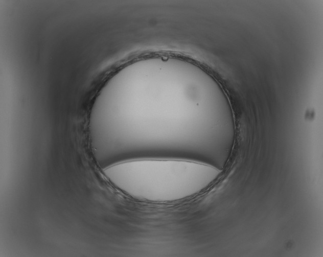X0000093521494200710121117